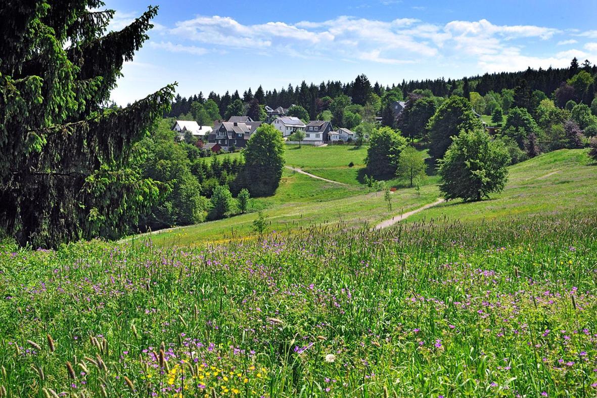 Panoramaferienwohnung Bergwiese Masserberg Exterior photo